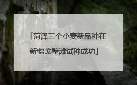 菏泽三个小麦新品种在新疆戈壁滩试种成功