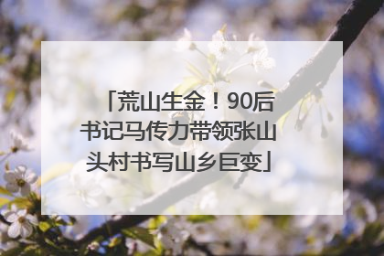 荒山生金！90后书记马传力带领张山头村书写山乡巨变