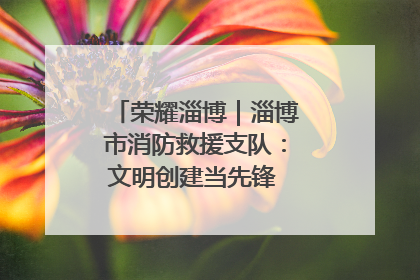 荣耀淄博｜淄博市消防救援支队：文明创建当先锋 蓝焰映红建新功