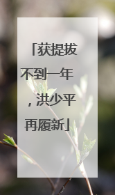 获提拔不到一年，洪少平再履新