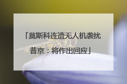 莫斯科连遭无人机袭扰 普京：将作出回应