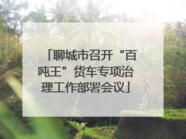 聊城市召开“百吨王”货车专项治理工作部署会议