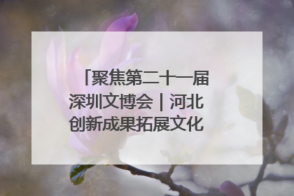 聚焦第二十一届深圳文博会｜河北创新成果拓展文化产业“朋友圈”