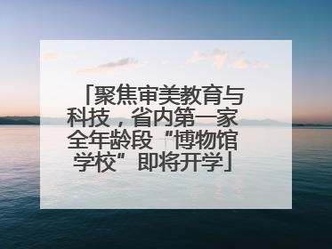 聚焦审美教育与科技，省内第一家全年龄段“博物馆学校”即将开学