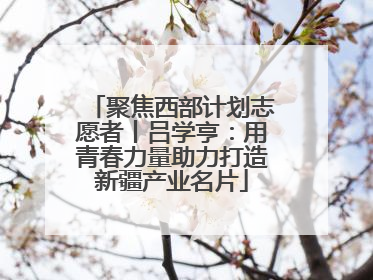 聚焦西部计划志愿者丨吕学亨：用青春力量助力打造新疆产业名片