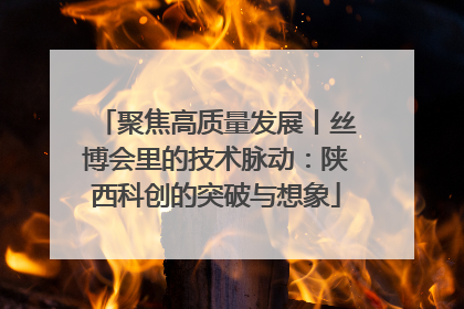 聚焦高质量发展丨丝博会里的技术脉动：陕西科创的突破与想象