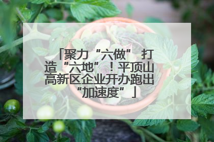 聚力“六做” 打造“六地”！平顶山高新区企业开办跑出“加速度”