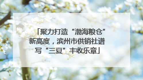 聚力打造“渤海粮仓”新高度，滨州市供销社谱写“三夏”丰收乐章