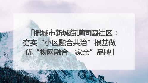肥城市新城街道同圆社区：夯实“小区融合共治”根基做优“物网融合一家亲”品牌