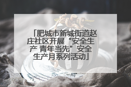 肥城市新城街道赵庄社区开展“安全生产 青年当先”安全生产月系列活动