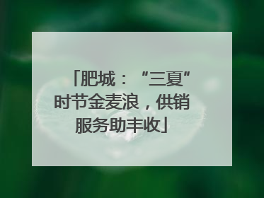 肥城：“三夏”时节金麦浪，供销服务助丰收