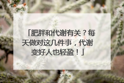 肥胖和代谢有关？每天做对这几件事，代谢变好人也轻盈！