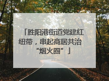 胜阳港街道党建红纽带，串起商居共治 “烟火圈”