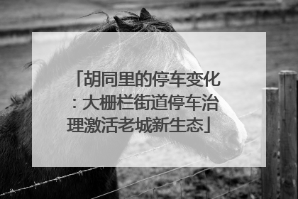 胡同里的停车变化：大栅栏街道停车治理激活老城新生态