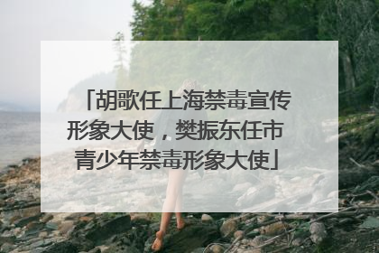 胡歌任上海禁毒宣传形象大使，樊振东任市青少年禁毒形象大使