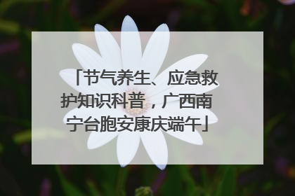 节气养生、应急救护知识科普，广西南宁台胞安康庆端午