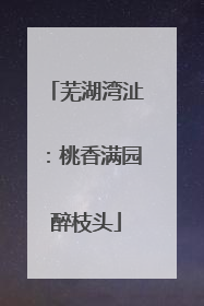 芜湖湾沚：桃香满园醉枝头