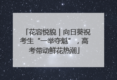 花容悦貌｜向日葵祝考生“一举夺魁”，高考带动鲜花热潮