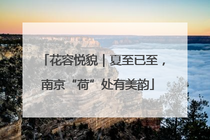 花容悦貌｜夏至已至，南京“荷”处有美韵