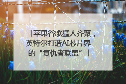 苹果谷歌猛人齐聚，英特尔打造AI芯片界的“复仇者联盟”