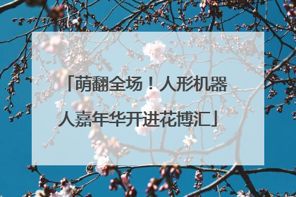 萌翻全场！人形机器人嘉年华开进花博汇