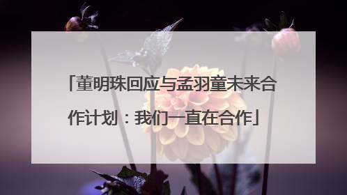 董明珠回应与孟羽童未来合作计划：我们一直在合作