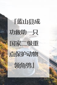 蓝山县成功救助一只国家二级重点保护动物领角鸮