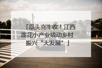 藠头喜丰收！江西莲花小产业撬动乡村振兴“大发展”