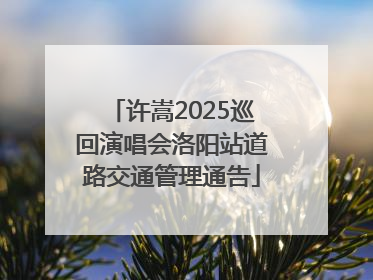 许嵩2025巡回演唱会洛阳站道路交通管理通告