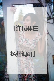 许昆林在扬州调研