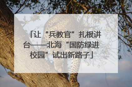 让“兵教官”扎根讲台——北海“国防绿进校园”试出新路子