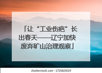 让“工业伤疤”长出春天——辽宁加快废弃矿山治理观察