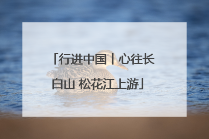 行进中国丨心往长白山 松花江上游