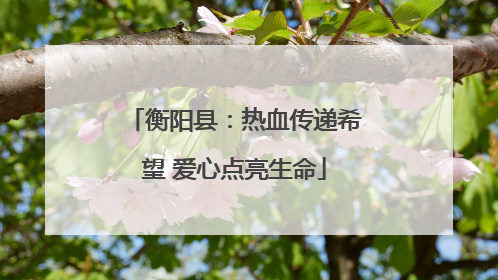 衡阳县：热血传递希望 爱心点亮生命