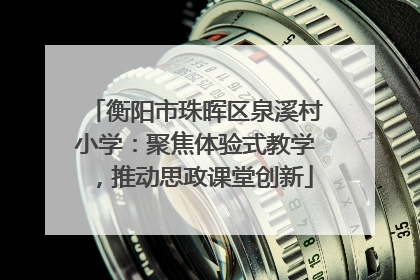 衡阳市珠晖区泉溪村小学：聚焦体验式教学，推动思政课堂创新