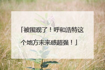 被围观了！呼和浩特这个地方未来感超强！