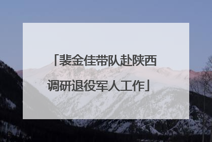 裴金佳带队赴陕西调研退役军人工作