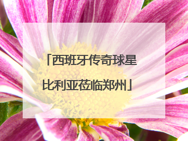西班牙传奇球星 比利亚莅临郑州
