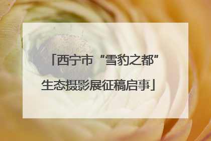 西宁市“雪豹之都”生态摄影展征稿启事