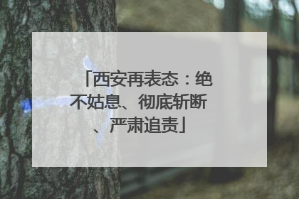西安再表态：绝不姑息、彻底斩断、严肃追责