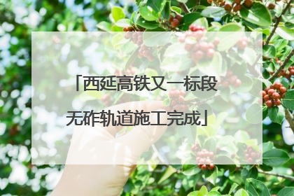 西延高铁又一标段无砟轨道施工完成