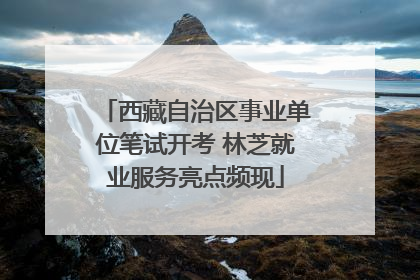 西藏自治区事业单位笔试开考 林芝就业服务亮点频现