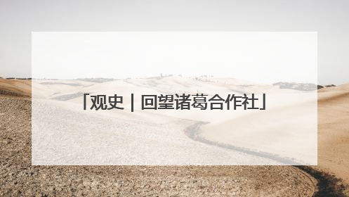 观史｜回望诸葛合作社