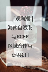 观海潮｜海南自贸港与RCEP区域合作互促共进