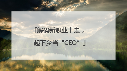 解码新职业丨走，一起下乡当“CEO”