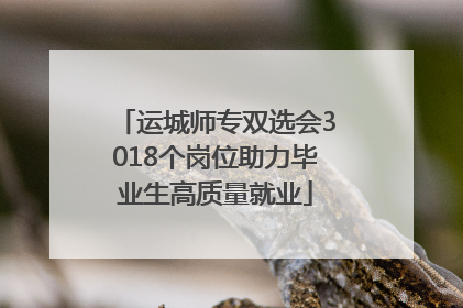 运城师专双选会3018个岗位助力毕业生高质量就业