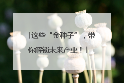 这些“金种子”，带你解锁未来产业！