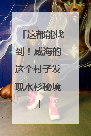 这都能找到！威海的这个村子发现水杉秘境