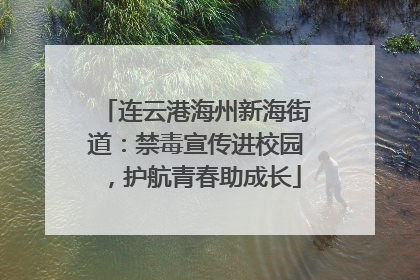 连云港海州新海街道：禁毒宣传进校园，护航青春助成长