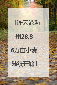 连云港海州28.86万亩小麦陆续开镰